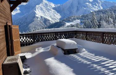 Vue splendide Mont Blanc - Foto 5