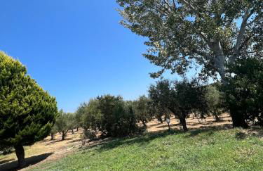 Olive House near the sea - Foto 11