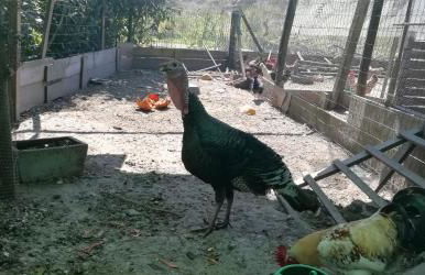 My Portugal for All - Lousada Villa - Foto 60