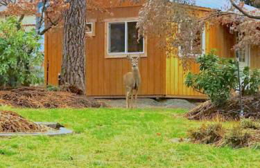 The Base Camp - Foto 35