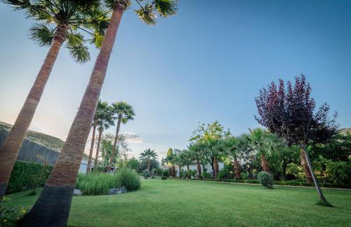 Al Agia - Molino Mísqueres de Padul - Foto 27