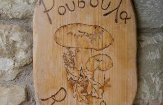 Τα Πέτρινα της Ελάτης - Petrina Elatis - Foto 23