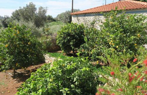 Aeolos beachfront family residence - Foto 43