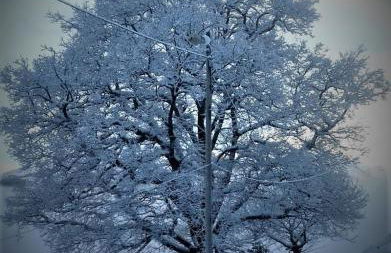 Casa el rey 12 - Apartamentos Buenos Aires y Figueras AR-1419-AS - Foto 42