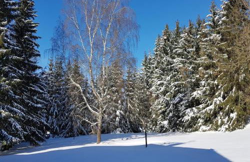 Wohnung in Benneckenstein Nahe Skilift - Foto 12