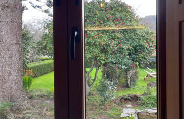 Araucaria House - Foto 69