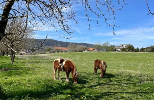Ven y disfruta en el corazón de Bizkaia-Urdaibai LBI00509 - Foto 58