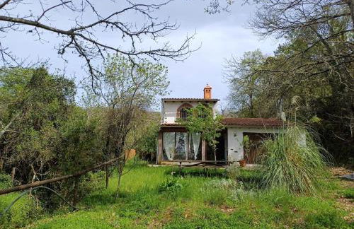 Huerto Fernandito - Foto 26