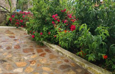 Kamaraki Grande Aroniadika - Foto 14