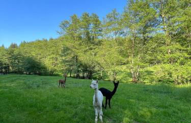 Lac de Vassivière Petite maison à proximité - Foto 31