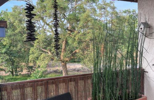 Charmant appartement à Saint-Julien 40 m² avec vue jardin - Foto 15