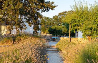 Trullo Dimora Podere Papilio - Foto 39