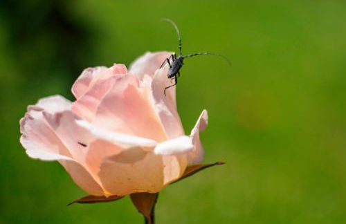 Rural Médulas Viviendas de uso turistico 2 y Casas rurales 2 - Foto 24