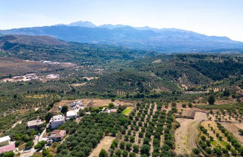 Bougainvillea - Foto 25
