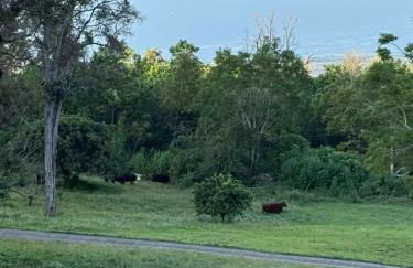 Luxury Oceanview Estate - Photo 50