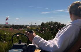 Domaine Léa Chanflaur - Spa - Le moulin de la jalousie - Foto 19