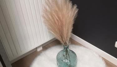 Grand T2 avec jardin et parking proche Paris et Orly - Foto 5