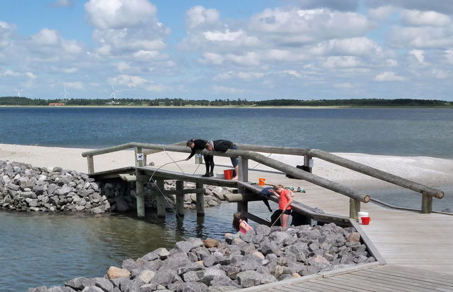 "Scarlet" - 400m to the fjord - Foto 3