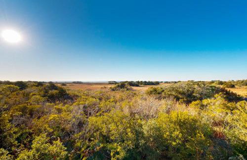 AV488 Carolina Breeze 488 - Foto 26