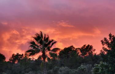 Finca s'Almudaina Farm Finca Villa 12p ETV1135 - Foto 48