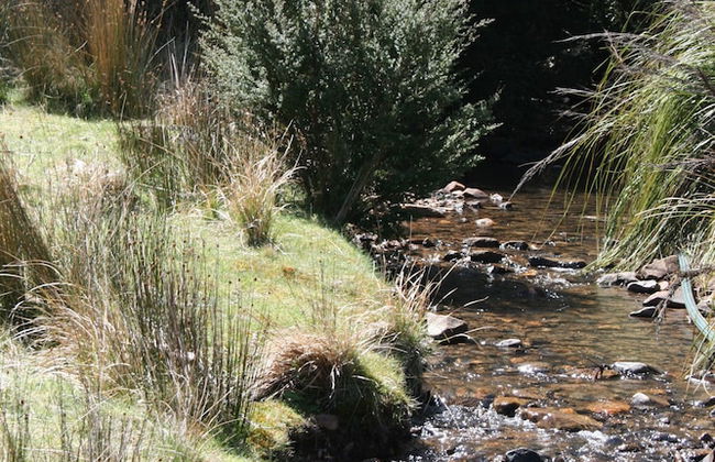 Craggy Peaks Wilderness Cabins - Foto 48