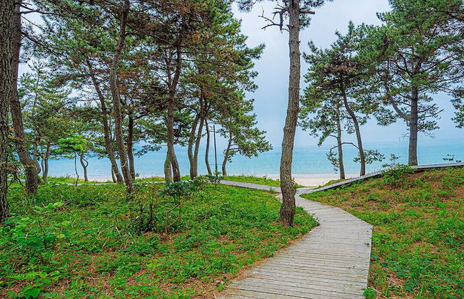 Wando Sol Beach Pension - Foto 35