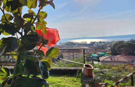 Agriturismo Le Vigne - Foto 108