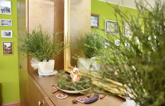 Apartments Oldtimer - Photo 23