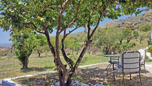 Cortijo AguaChá - Foto 5, Garden view