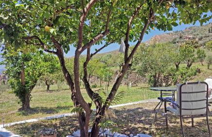 Cortijo AguaChá - Foto 5