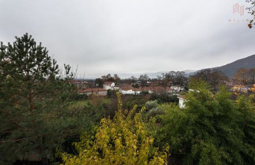 Classico, Nilie Hospitality MGMT - Foto 24