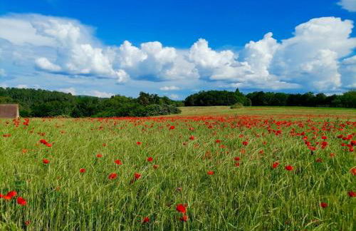 Authentique ferme périgourdine, à 5km au sud de Sarlat, 1km de la rivière - Foto 44