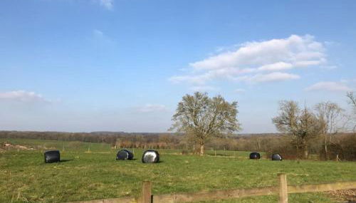 The Cowshed - Foto 4