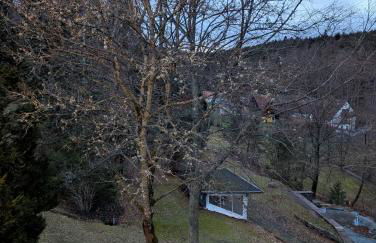 Wald Villa Schönau - Photo 8