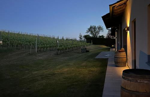 Vigne dei Mastri - Foto 9