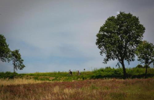 Heart of Emilia-romagna Apartment - Foto 72