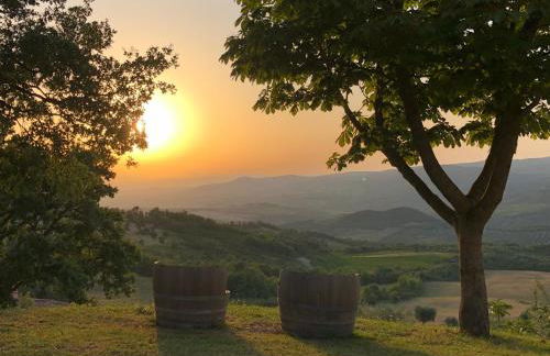 Vitabella Toscana - Foto 31