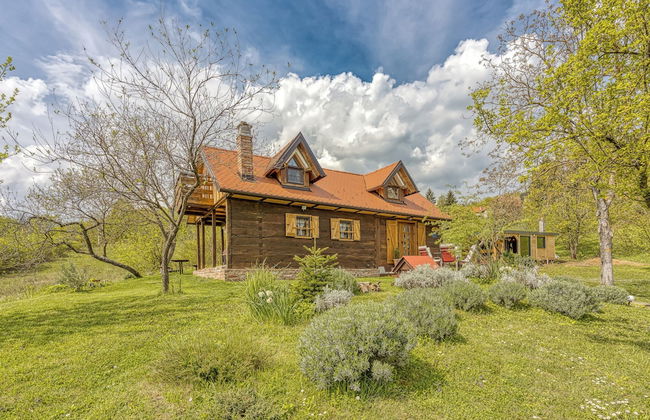 Rural House With Wellness - Photo 39