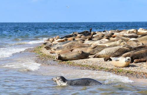 1 Bed in Holt oc-ncc52 - Foto 18