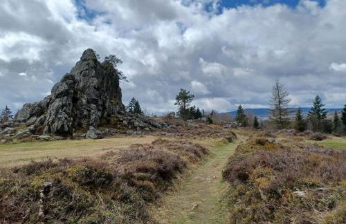 Schones Ferienhaus mit Grossem Garten bei Stadlern - Foto 80