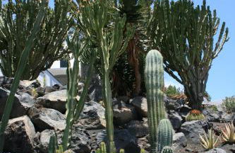 Casa Ronda - Foto 41