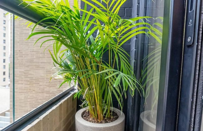 Perfect Loft In Centro Internacional - Foto 4