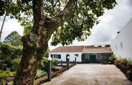 Casa das Palmeiras - Foto 23