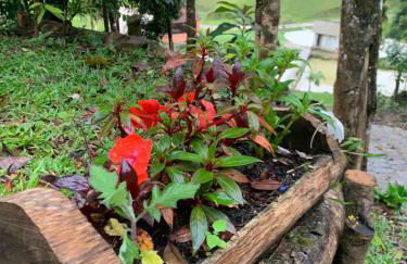 Casa de Campo Rio Miguel - Photo 8