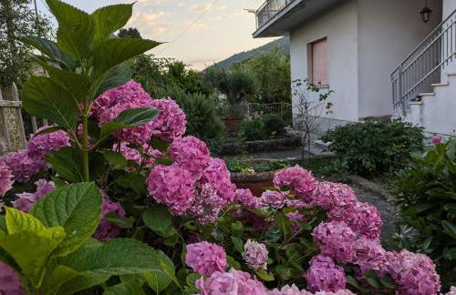 La casa di Cisotta - Foto 9