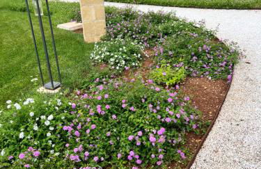 Villa Anna - Suites & Events - Foto 68