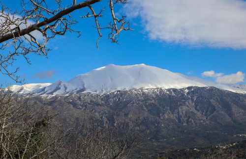 Villa Angelica Meronas - Photo 36