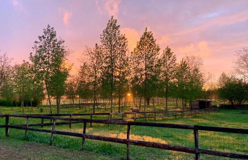 Gite Le Clos Sainton - Photo 16