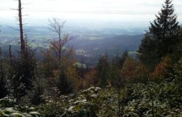 Ferienhaus Klingenbrunn - Foto 47