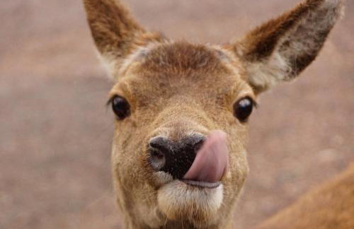 West Horizon holiday cottage - Foto 73